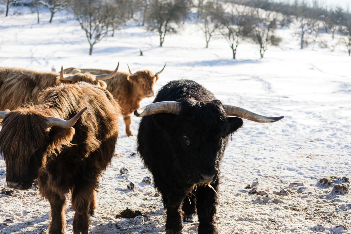 k_E28A5865